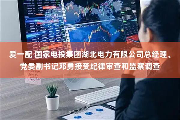 爱一配 国家电投集团湖北电力有限公司总经理、党委副书记邓勇接受纪律审查和监察调查