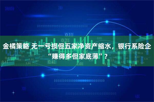 金橘策略 无一亏损但五家净资产缩水，银行系险企“赚得多但家底薄”？