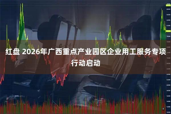 红盘 2026年广西重点产业园区企业用工服务专项行动启动