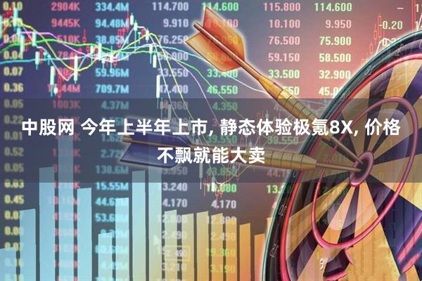 中股网 今年上半年上市, 静态体验极氪8X, 价格不飘就能大卖